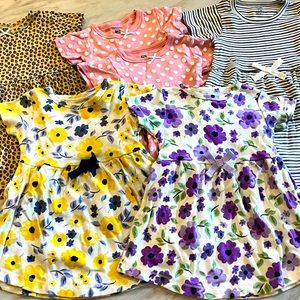 Infant girl dresses (6 total) size 9-12 months.